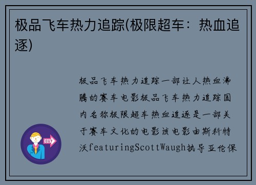 极品飞车热力追踪(极限超车：热血追逐)